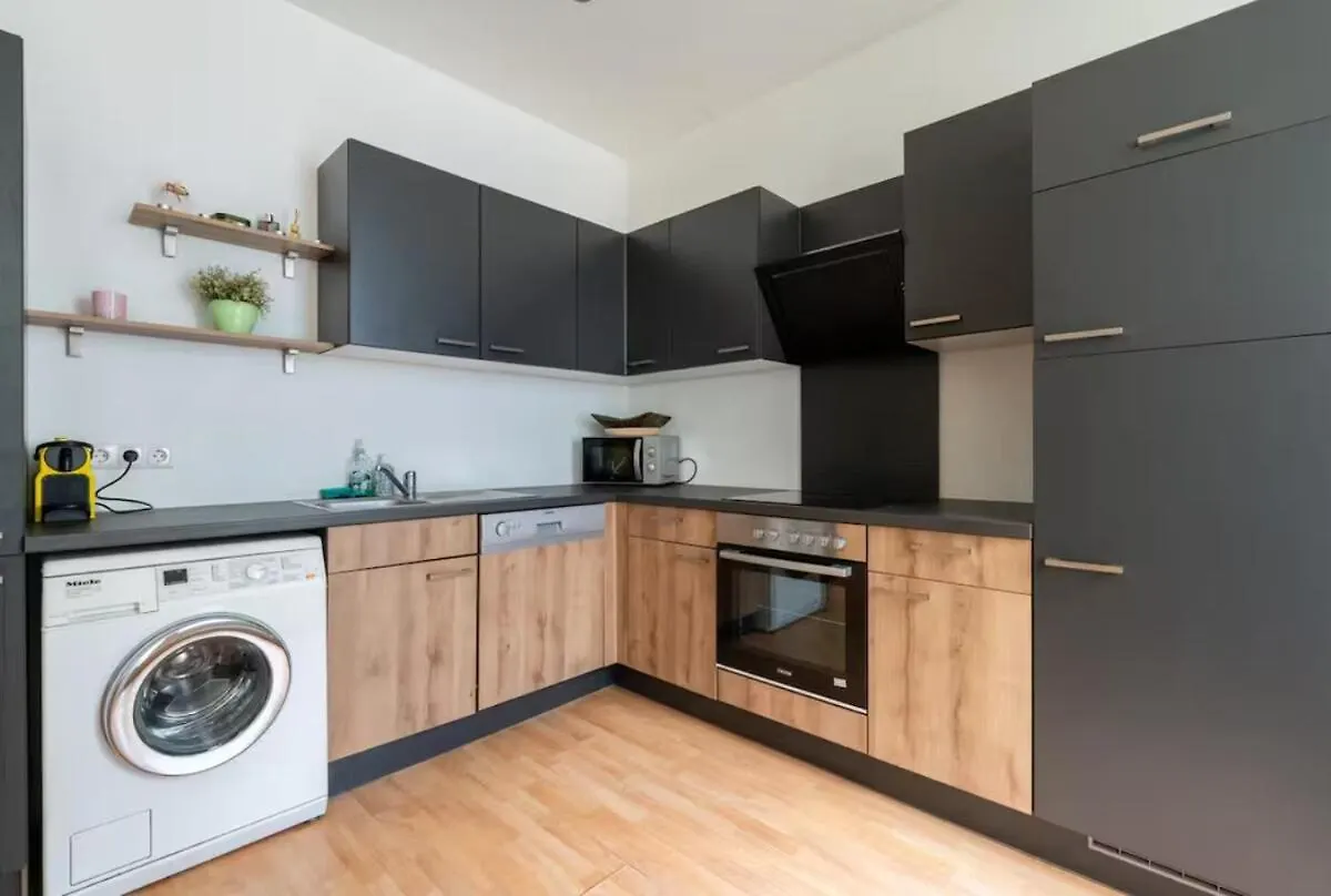 Spacious Stone Central Apartment 비엔나