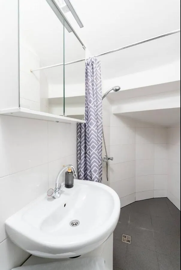 Spacious Stone Central Apartment 비엔나
